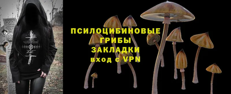 как найти закладки  Каспийск  Псилоцибиновые грибы мицелий 